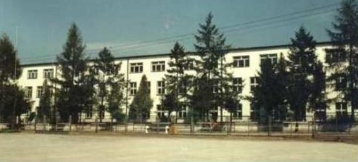 Fotografia przedstawia archiwalne zdjęcie szkoły od ulucy przy której szkoła się znajduje. Widzimy trzypiętrowy budynek z jasną elewacją zasłonięty drzewami.
