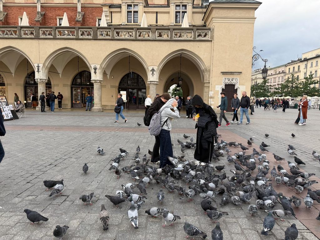 zdjęcie przedstawia grupę osób